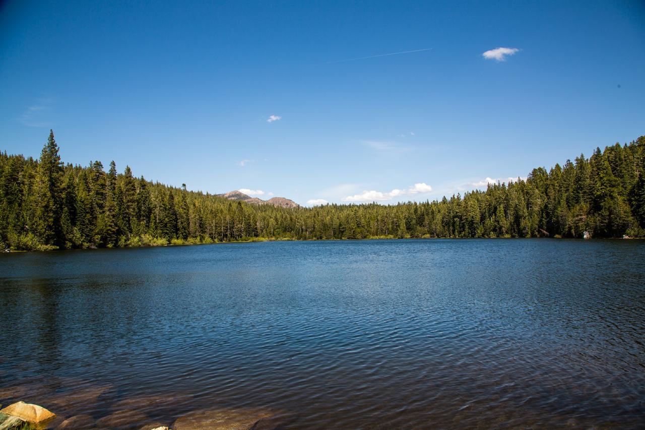 Snowflower Camping Resort Cabin 3 Emigrant Gap Экстерьер фото
